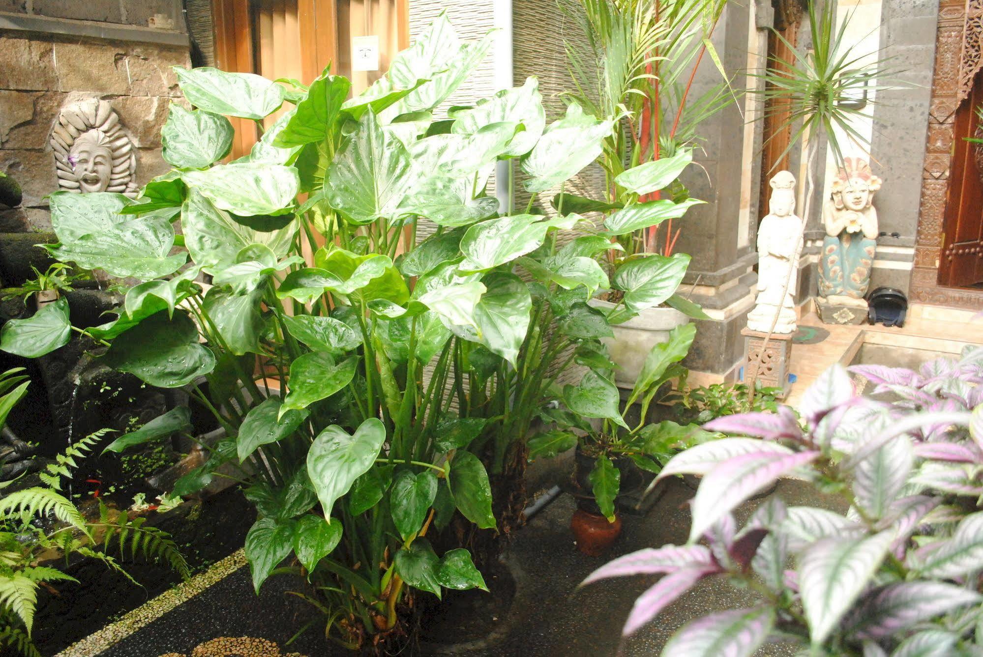 Jangkrik Homestay Ubud  Exterior photo